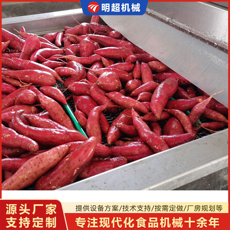 紅薯清洗愈合流水線使用后能否延長紅薯上架期